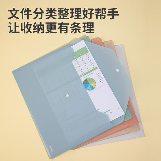 得力PP301-5文件袋A4(混)(5个/包) 商品图2
