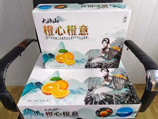 雷波脐橙雷波县特产水果橙子柑子自家种植 商品图4