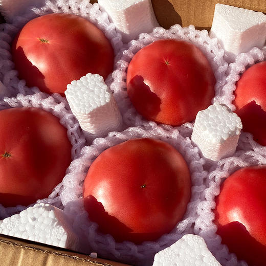 特惠活动『攀枝花露天沙瓤番茄』自有番茄园，沙瓤细腻，果肉肥厚 商品图8