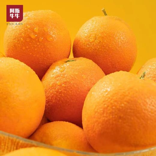 【凉山味道】大凉山青杠村雷波脐橙 纽荷尔脐橙 商品图5