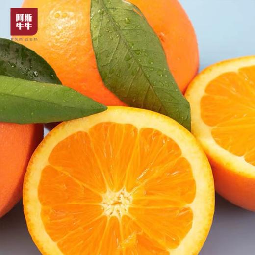 【凉山味道】大凉山青杠村雷波脐橙 纽荷尔脐橙 商品图7