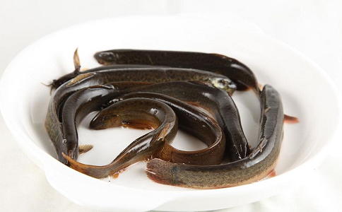 泥鳅 1000g杀好后约550g（今日预定，明日送达，预定商品无品质问题，不退货退款） 商品图0