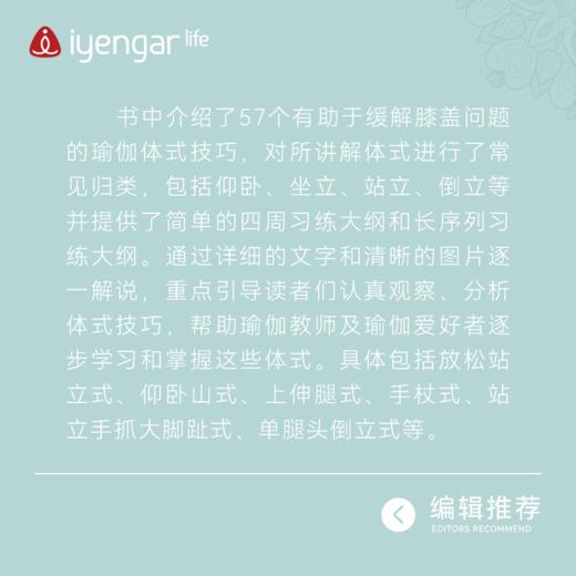 B1188艾扬格瑜伽 膝盖问题辅助习练 商品图3