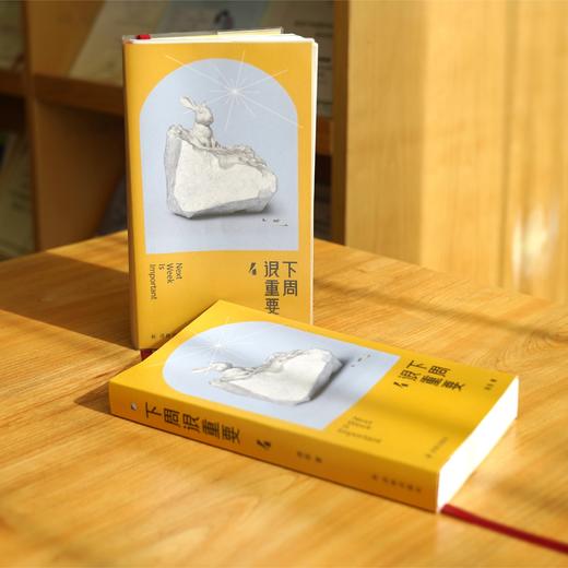 《下周很重要4 》 商品图13