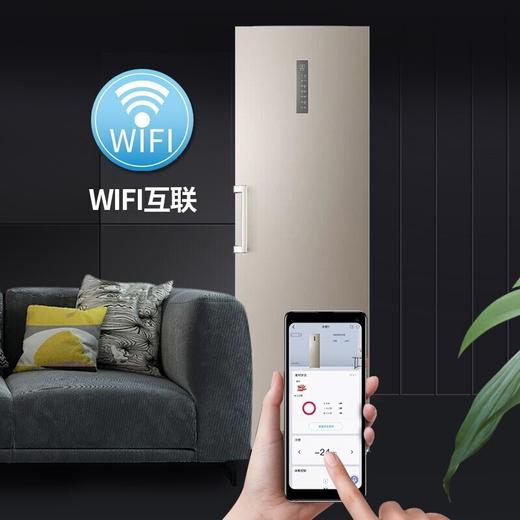 海尔(Haier)立式冰柜家用 风冷无霜冷藏冷冻冰柜母乳母婴除味保鲜柜BD-330WEPTU1 商品图0