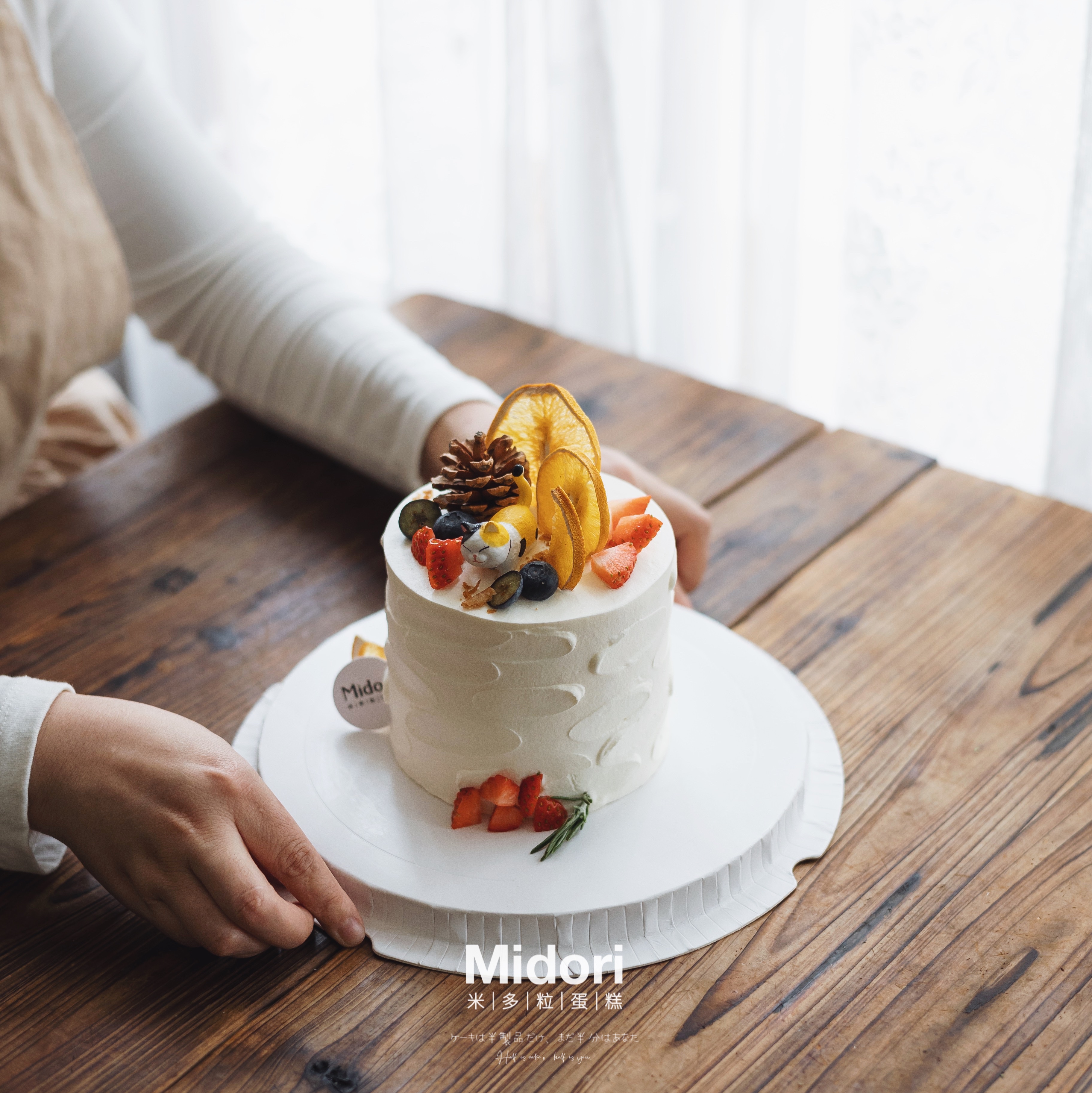 森系小猫咪 | 动物系