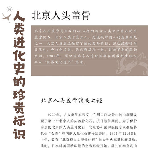 《博物馆里的中国历史故事》（全4册） 商品图4