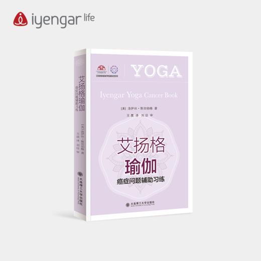 B1187艾扬格瑜伽 癌症问题辅助习练 商品图0