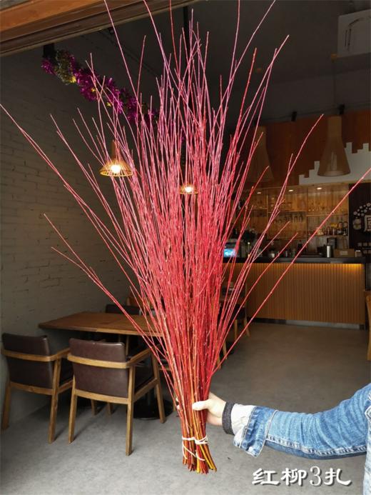 伊朗进口红瑞木红柳鲜切枝 商品图9