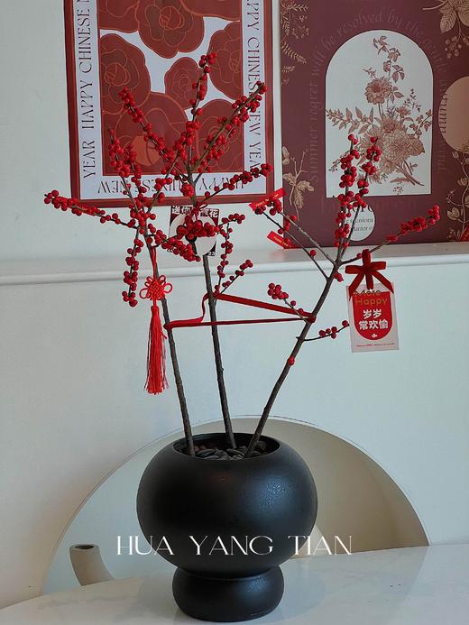 新年冬青盆栽（含花盆） 商品图11