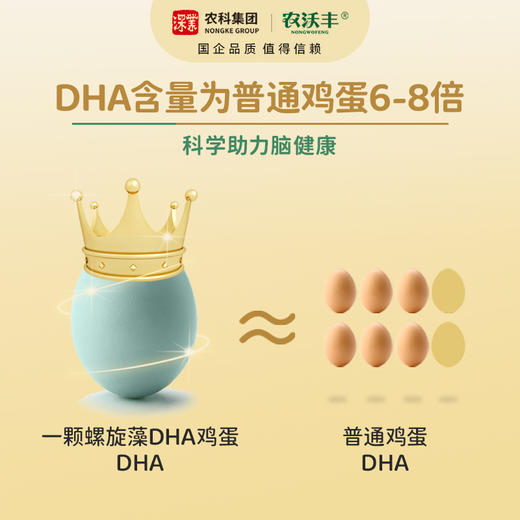 【扶贫】螺旋藻营养鸡蛋 商品图2