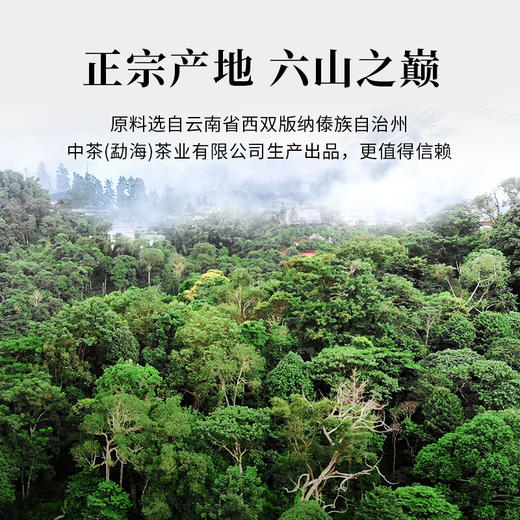 魏氏茶倚邦普洱（金印） 云南普洱茶 357g/饼 商品图1