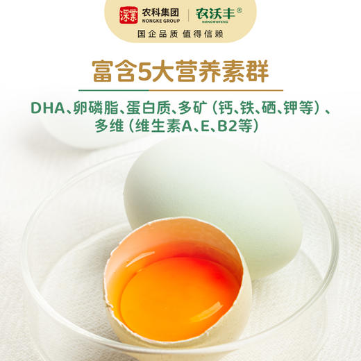 【扶贫】螺旋藻营养鸡蛋 商品图3