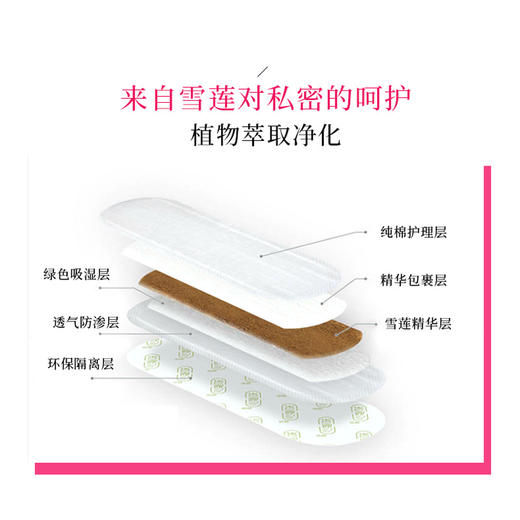 【私处养护！天山雪莲护理贴】女性私密草本卫生巾护理垫，私处养护调理雪莲贴护垫6片/盒中老年 商品图1