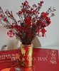 金喜腊梅瓶 · 年宵花 商品缩略图0