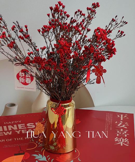 金喜腊梅瓶 · 年宵花 商品图0