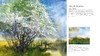 【预订】Watercolour Workshop: projects and interpretations | 水彩工作坊：方案与诠释 英文原版艺术图书 商品缩略图5