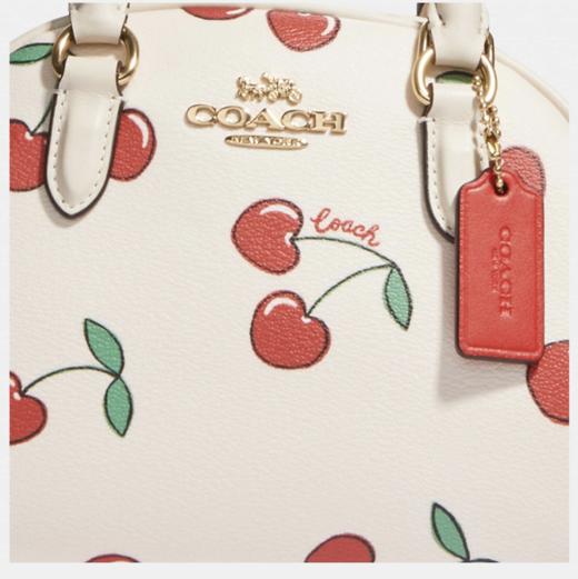 1月新款！Coach情人节限量🍒小馒头包￥1398直邮到手！ 商品图2