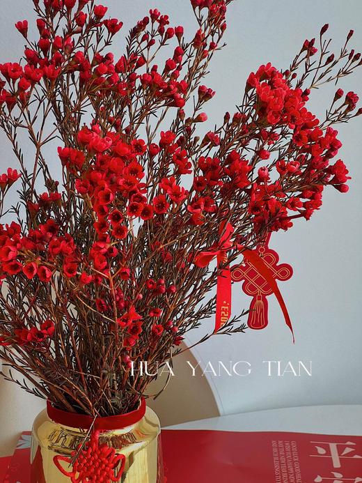 金喜腊梅瓶 · 年宵花 商品图1