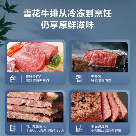 海尔（Haier）冰柜家用小型冷藏冷冻保鲜柜 -40°超低温小冰柜卧式商用冷柜 丨-40度顶配丨星蕴银丨BC/BD-100GHEPG 商品图3