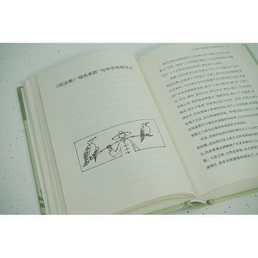 话里画外民法典	吕忠梅著 商品图6