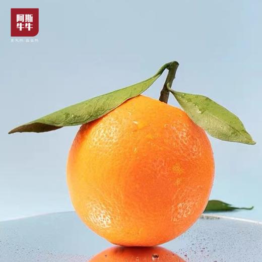 【凉山味道】大凉山青杠村雷波脐橙 纽荷尔脐橙 商品图3
