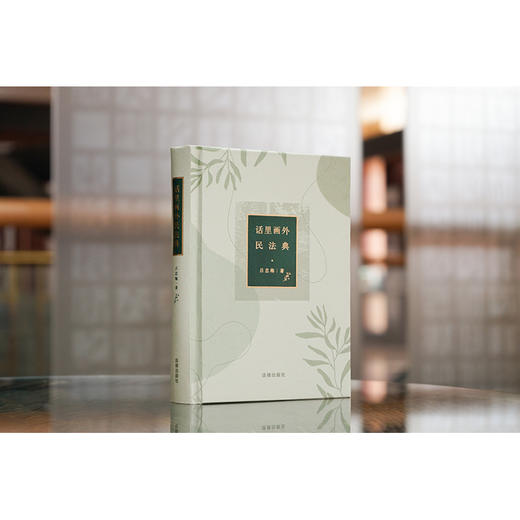 话里画外民法典	吕忠梅著 商品图0