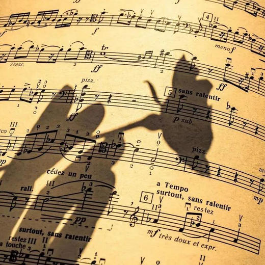 【诗歌即兴伴奏系统课程】零基础到高级班专业老师团队一对一指导，系统课程，不限年龄，不限基础 商品图1