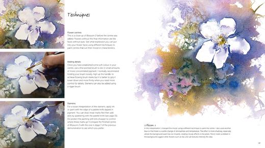 【预订】Watercolour Workshop: projects and interpretations | 水彩工作坊：方案与诠释 英文原版艺术图书 商品图4