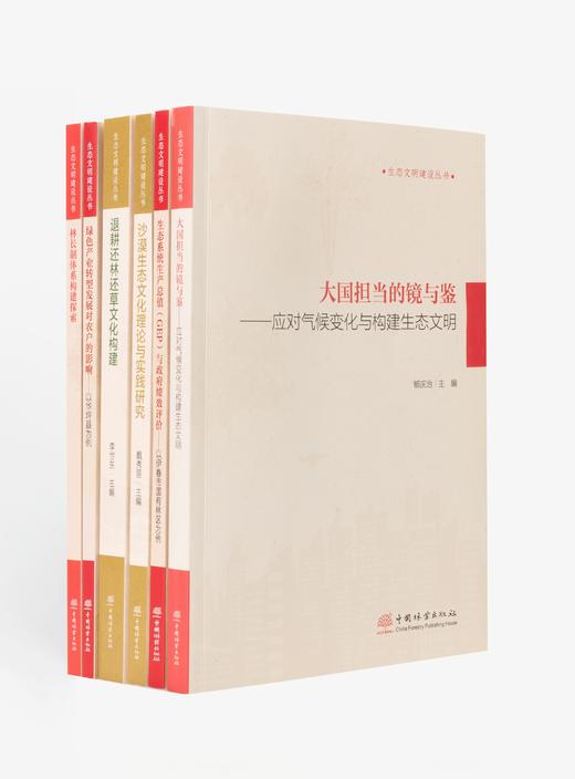 生态文明建设丛书 商品图0