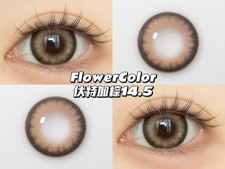 FLOWERCOLOR美瞳 年抛隐形眼镜 伏加特棕14.5mm 1副/2片-VVCON美瞳网6