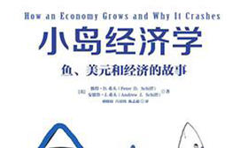 46.《小岛经济学》：启发你思考，引导你做正确的投资，管好你手中的钱