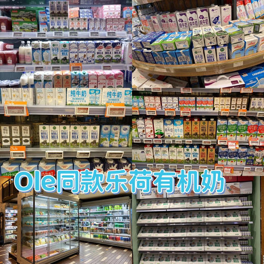 Ole'在售 |『有机全脂&A2酪蛋白牛奶乐荷』高端草饲🌱 来自荷兰的有机牧场·配料只有生牛乳·口感香醇，滴滴浓郁·含有omega-3脂肪酸·乳铁蛋白增强孩子抵抗力，中国三重有机认证的好奶〰️ 商品图7