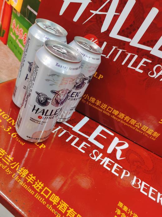小绵羊原浆啤酒一箱(拼团） 商品图4