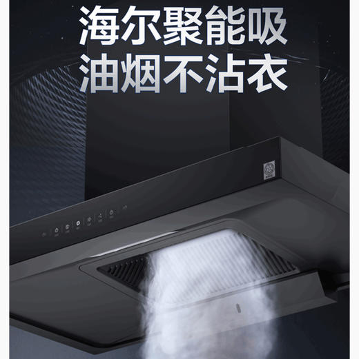 海尔（Haier）烟机 CXW-258-T2900 商品图0