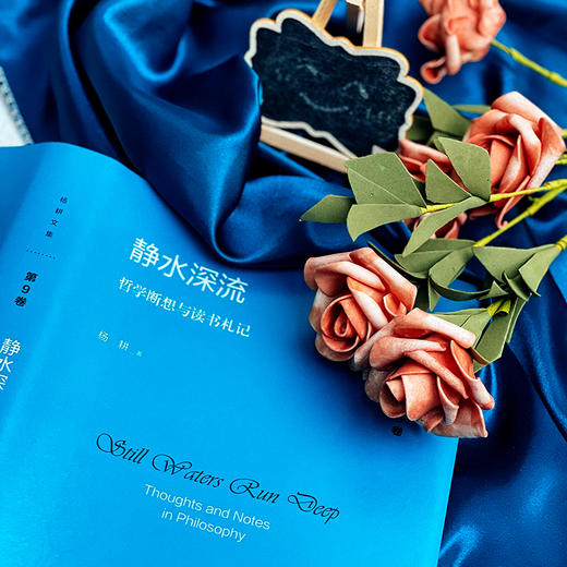静水深流 哲学断想与读书札记 杨耕文集 第9卷 形而上学 商品图10