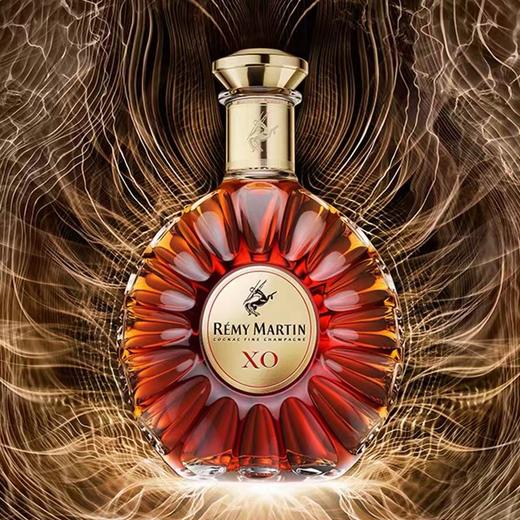 法国人头马XO 40度 700ml  Remy Martin 洋酒干邑白兰地 商品图3