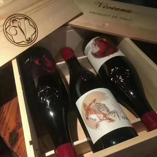 【意大利】玉兔 威尼托干红葡萄酒750ML 商品图3