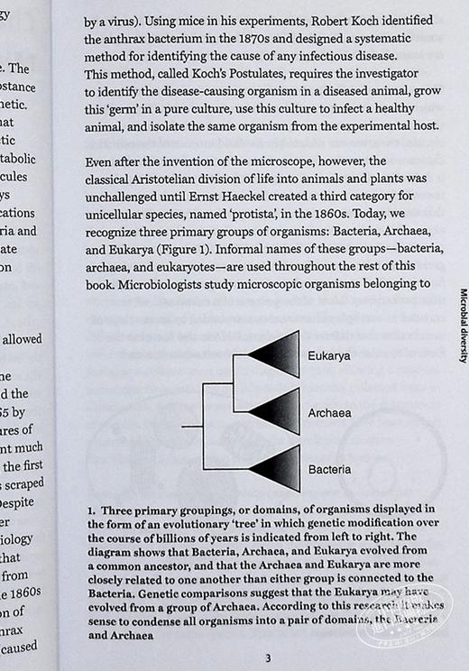 【中商原版】Microbiology: A Very Short Introduction 英文原版 牛津通识系列：微生物学 Nicholas P. Money 商品图7