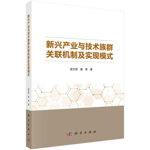 新兴产业与技术族群关联机制及实现模式/武兰芬 姜军 商品图0