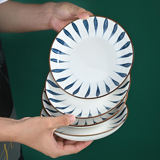 喵梦 千叶草流星雨16件套餐具组合碗碟套装 商品图6