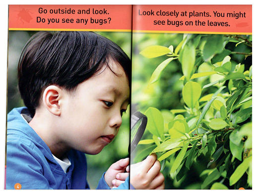 英文原版 National Geographic Kids Readers Pre-reader Bugs 昆虫 英文版 进口英语原版书籍 商品图1