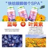 汤臣倍健蓝莓叶黄素酯60片*2瓶 商品缩略图2