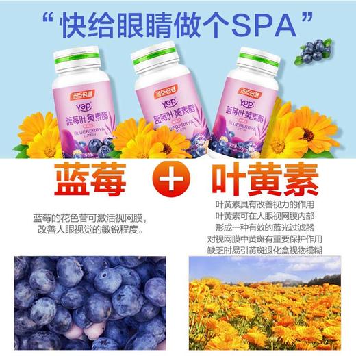 汤臣倍健蓝莓叶黄素酯60片*2瓶 商品图2