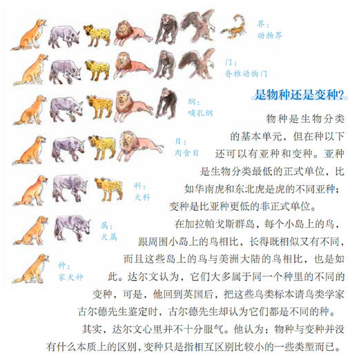 《苗德岁给孩子讲生命的故事》（全3册） 商品图7