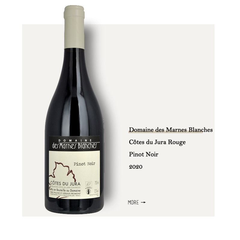 Domaine des Marnes Blanches Côtes du Jura Rouge Pinot Noir 2020 rouge 白岩酒庄黑皮诺干红2020