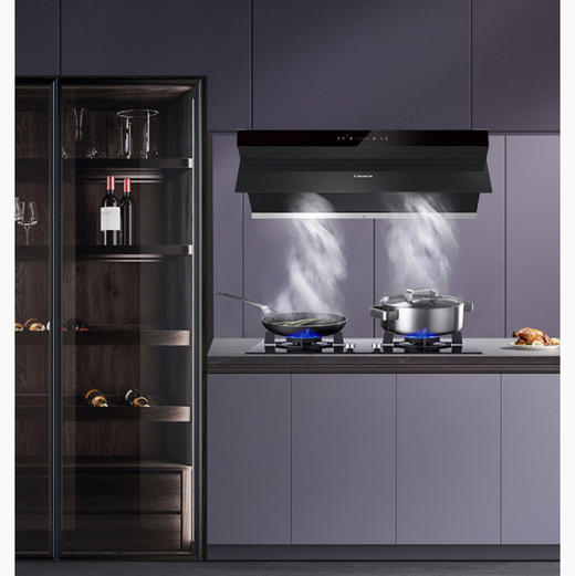 卡萨帝（Casarte）烟机 CXW-219-C2C90AGU1 商品图9