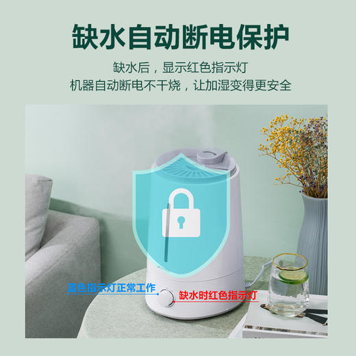山水（SANSUI）家用上加水带过滤加湿器 SJS-Q15 商品图4