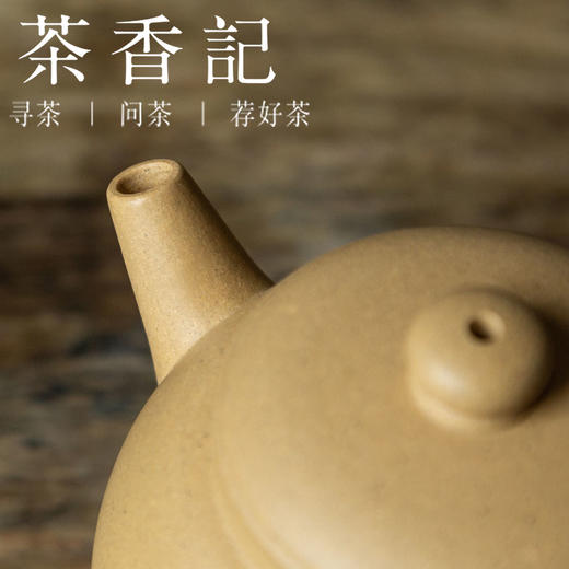 茶香记 紫砂壶本山绿泥 礼乐具轮珠 古朴清雅 简约实用 细腻高贵 商品图3