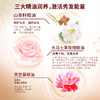 舒蕾 山茶花莹亮滋养系列（针对干枯暗哑发质） 商品缩略图1
